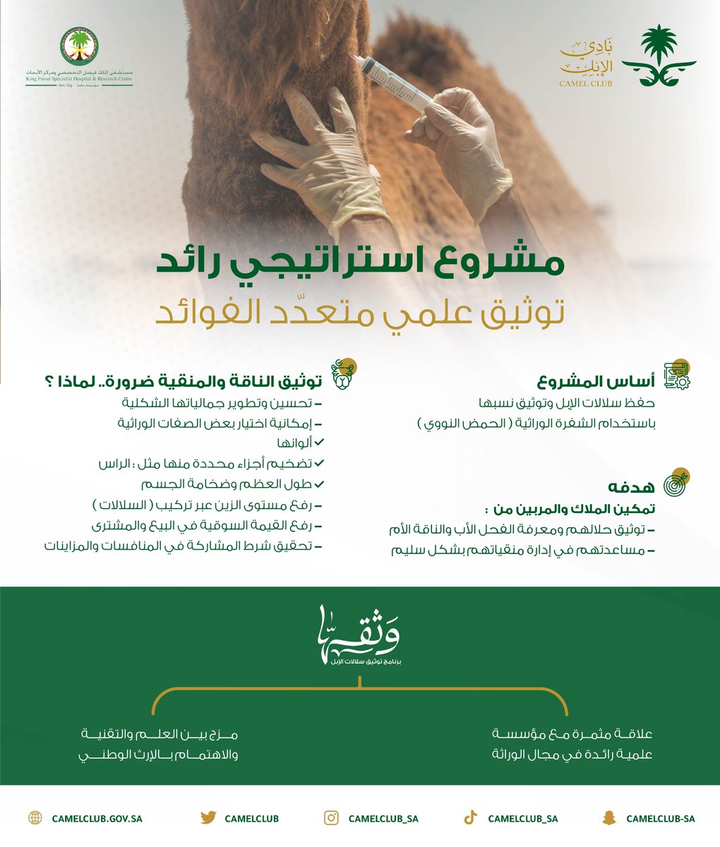 CamelClub's tweet photo. توثيق حلال المـلاك 🐪 
حفــــظ الســـلالات ☑️ 
رفع مستوى الزيـــن 💫
رفع القيمة السوقية 💵 

وثّقها ✅؛
مشروع استراتيجي رائد، وتوثيقٌ علميّ متعدد الفوائد 🧬

#نادي_الإبل https://t.co/88Q2bK4ETz