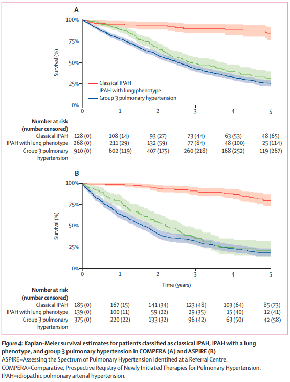LancetRespirMed's tweet photo. NEW Research—Phenotyping of idiopathic pulmonary arterial hypertension: a registry analysis

From Prof Marius Hoeper &amp; colleagues https://t.co/iyf9AMvtom https://t.co/EZN8Gc9zkw