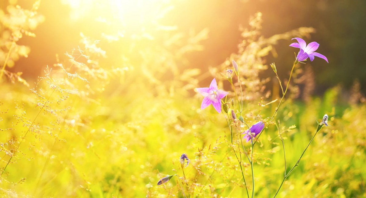 Kesä on täällä ja ihmiset viettävät runsaasti aikaa kaupunkiympäristöissä. Tartu tilaisuuteen ja tavoita kohderyhmäsi lunastamalla -25 % etu digitaalisista ulkomainoskampanjoista!
hubs.ly/Q01fS7KV0

#dooh #ooh #ulkomainonta