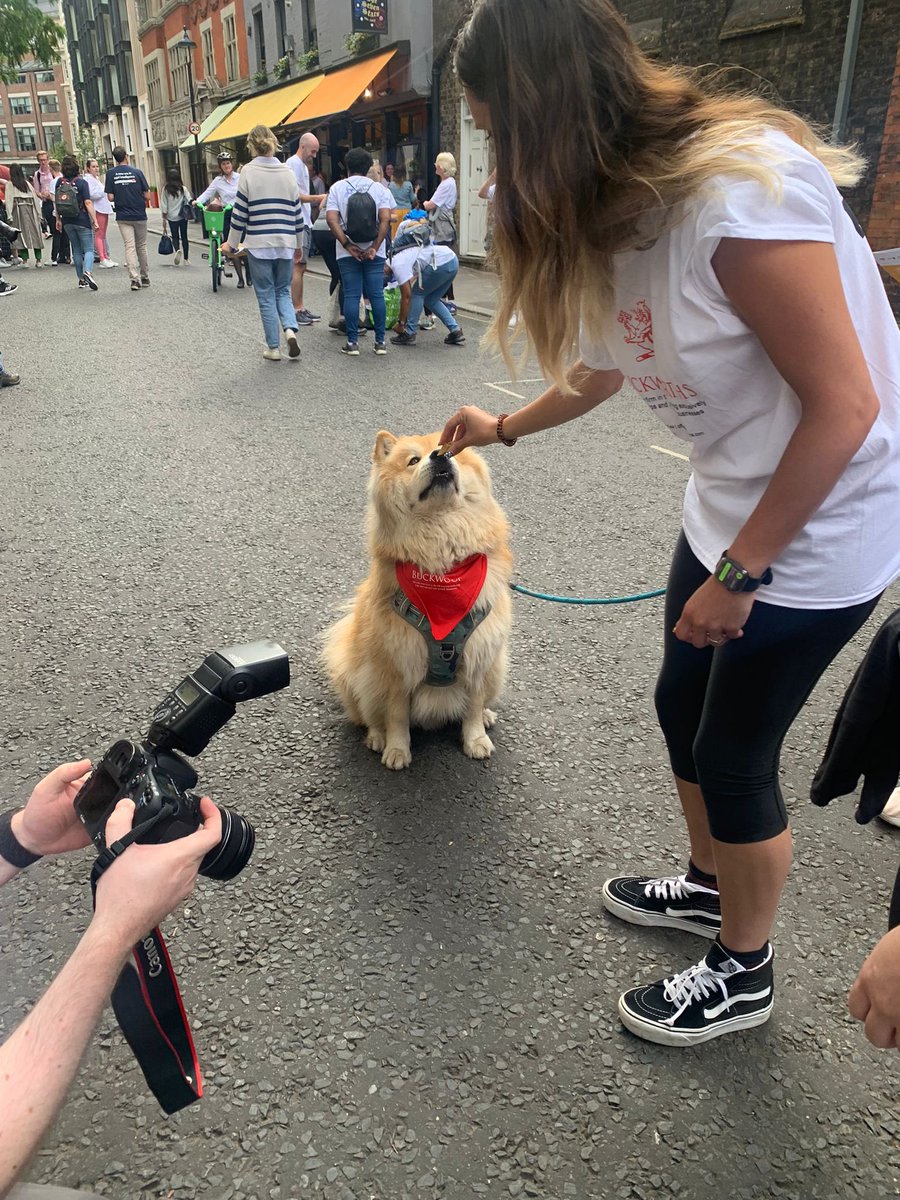 Montey and I had an excellent evening yesterday participating in <a href="/londonlegal/">London Legal Support Trust</a>’s London Legal Walk. Well done to all my <a href="/BuckworthsLaw/">Buckworths</a> colleagues and everyone involved!