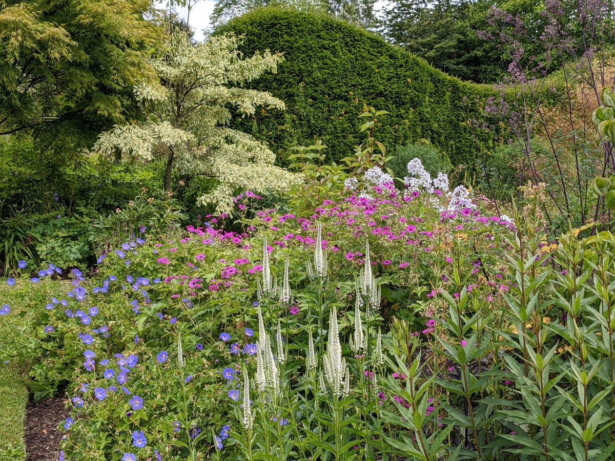 suebeesley's tweet image. This weekend @BluebellCottGdn is open for @NGSOpenGardens. 10am - 5pm Sat and Sun. £5 entry, all proceeds to the NGS charity. Can't make it? We're open Wed-Sat 10-5 till end Sep - 20% of all garden entry fees are donated to the NGS.