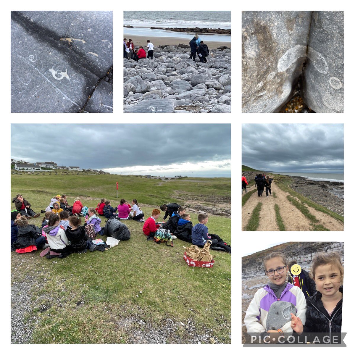 A rain free coastal school session @ogmorebysea looking for fossils!
Year 4 were excited at the sheer number of fossils they found.
Lunchtime was spent guarding our food from the seagulls!
#olw  #outdoorlearning#coastalschools