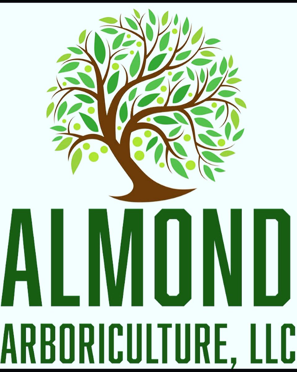 arboralmond's tweet photo. Professional tree care for your tree needs. Contact us for a free estimate. @arboralmond@gmail.com #treetrimming #treepruning #lynchburg #bedford #smithmountianlake #treeremoval https://t.co/wob8D6KWLX