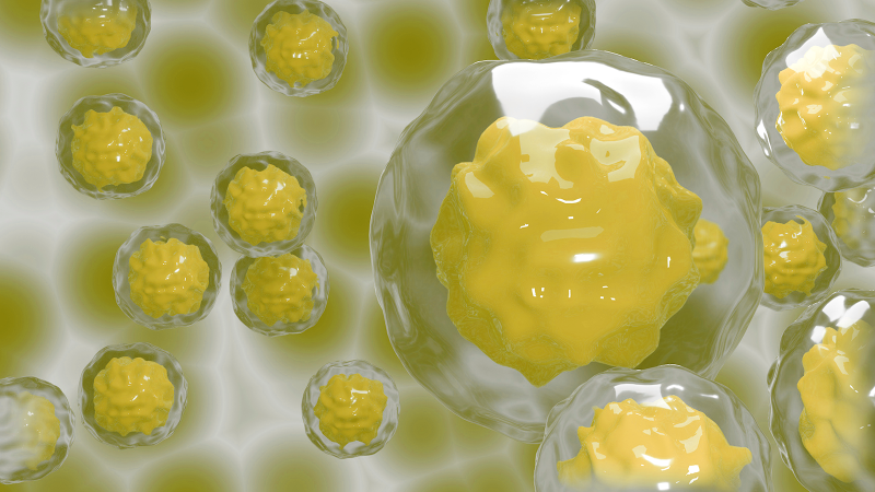 CellScienceJour's tweet photo. New insights in  #stem_cell_therapy 
#Ageing is a medically relevant phenomenon far too complicated to understand under the given laboratory conditions. https://t.co/0jg4woQ8pP https://t.co/7vqzrl2OT6