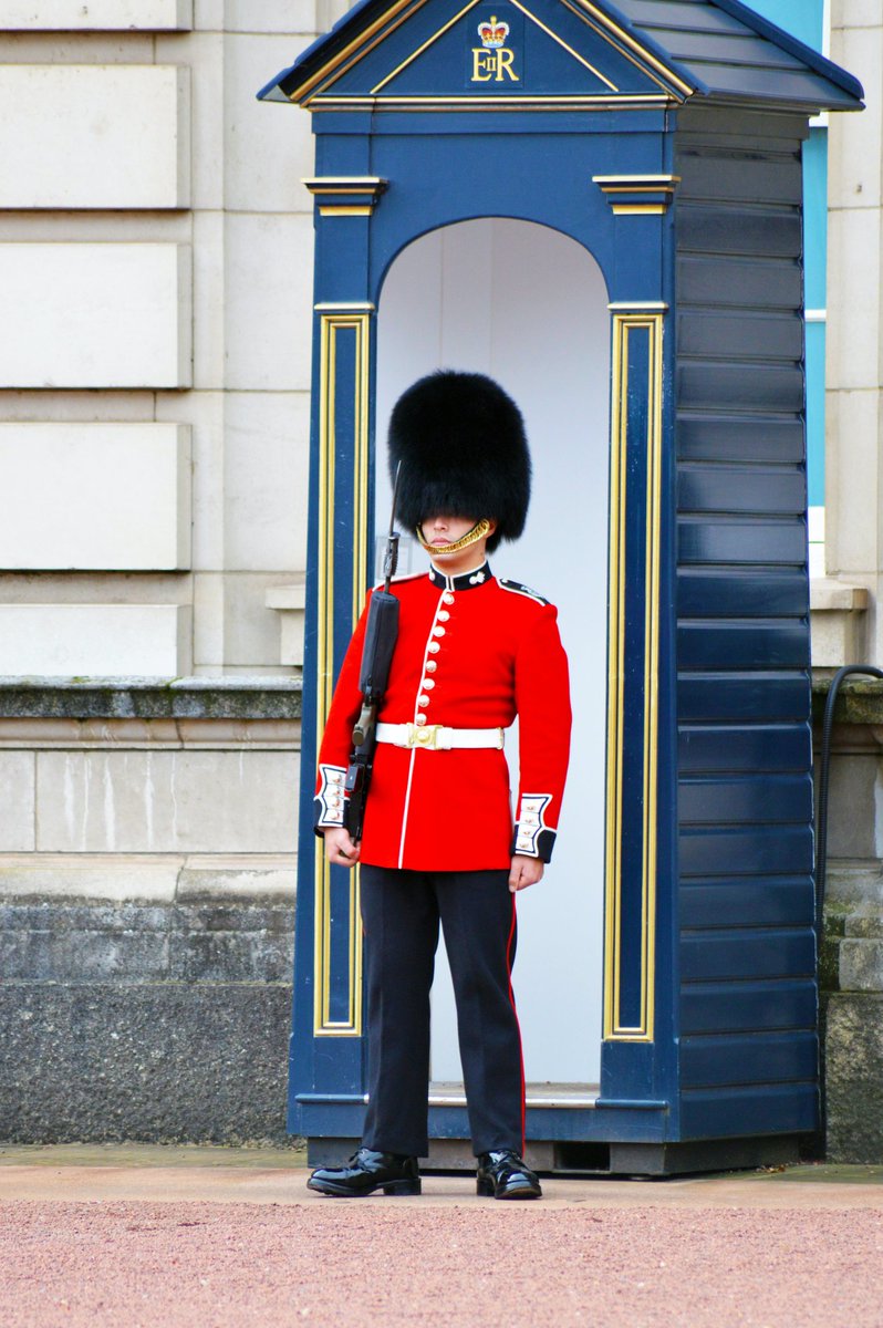 Final few tickets available for our Change Of Guard Royal Walk on July 4th a must see for London viator.com/tours/London/C… Or airbnb.com/book/experienc… #changeofguard #royallondon #londonmustsee #London #londontour #buckinghampalace #ceremony #TheQueen #guardchange #londontours