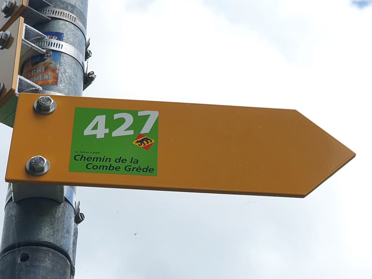 Guillaume Davot tweet media