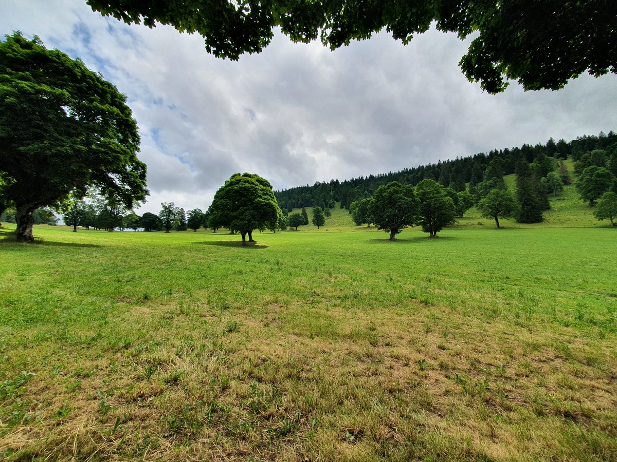 Guillaume Davot tweet media