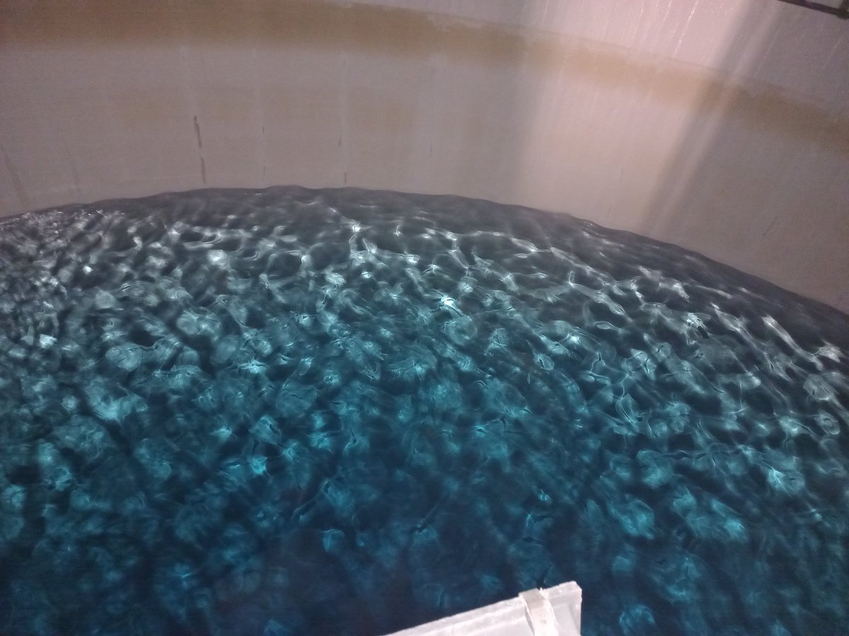 Inauguration du nouveau forage #eau #potable "Les Christophes" du Syndicat Mixte Intercommunal du Canton d’Anet (SMICA). Cet équipement exploité par les équipes <a href="/suez/">SUEZ</a> permet de renforcer et sécuriser l'alimentation en eau potable du territoire.