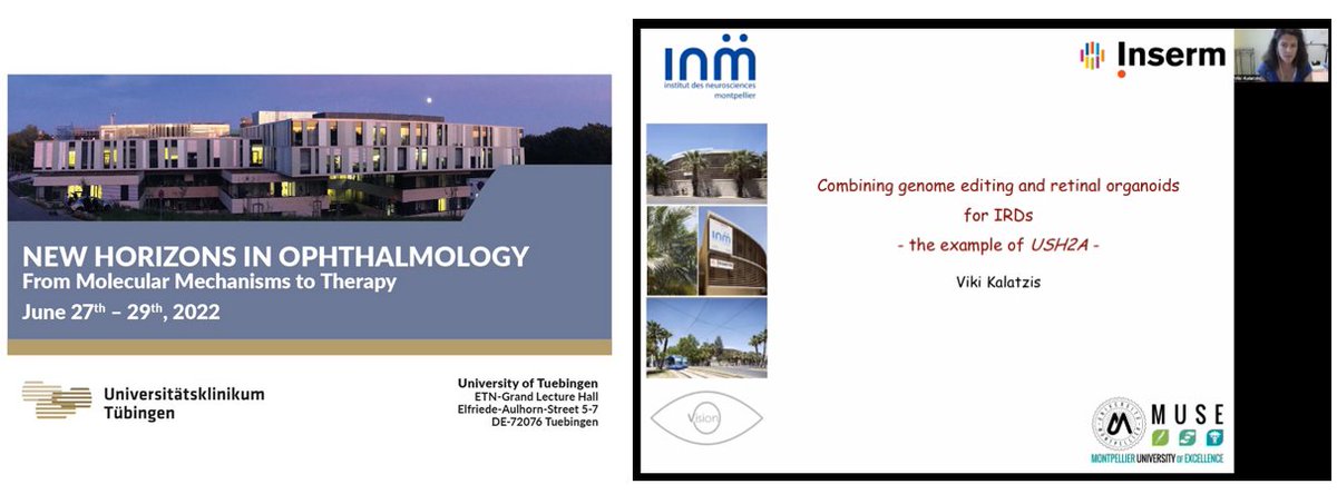 Vision_INM's tweet photo. Today, Vasiliki Kalatzis has talked about our #usher organoids in the New Horizons in Ophtalmology congress in Tübingen https://t.co/KNw2RoqlCG