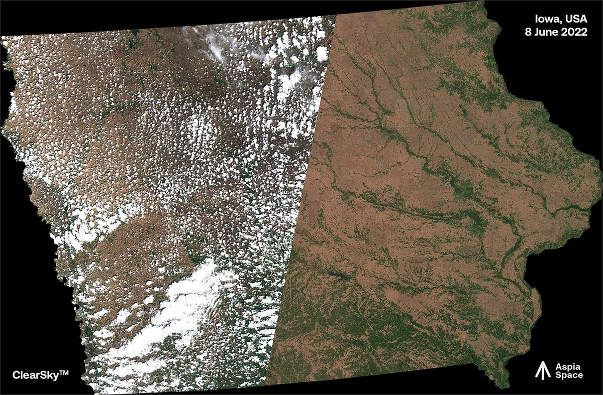 Aspia Space (@aspiaspace) on Twitter photo We are applying our ClearSky solution around the globe, processing trillions of pixels using <a href="/nvidia/">NVIDIA</a> GPUs. Here is a view of Iowa from earlier this month, based on <a href="/ESA_EO/">ESA Earth Observation</a> Sentinel data: (left) Sentinel-2, (right) ClearSky. #NVIDIAInception #PoweredByDL #EarthObservation #AI We are applying our ClearSky solution around the globe, processing trillions of pixels using <a href="/nvidia/">NVIDIA</a> GPUs. Here is a view of Iowa from earlier this month, based on <a href="/ESA_EO/">ESA Earth Observation</a> Sentinel data: (left) Sentinel-2, (right) ClearSky. #NVIDIAInception #PoweredByDL #EarthObservation #AI