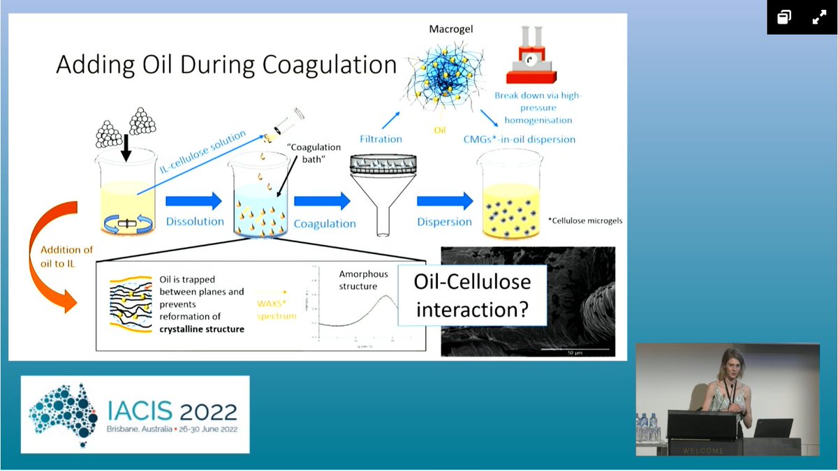 A great presentation on "Cellulose Microgels as W/O Pickering Emulsifier" by Katherine Lefroy at <a href="/iacis2021/">iacis2022</a>