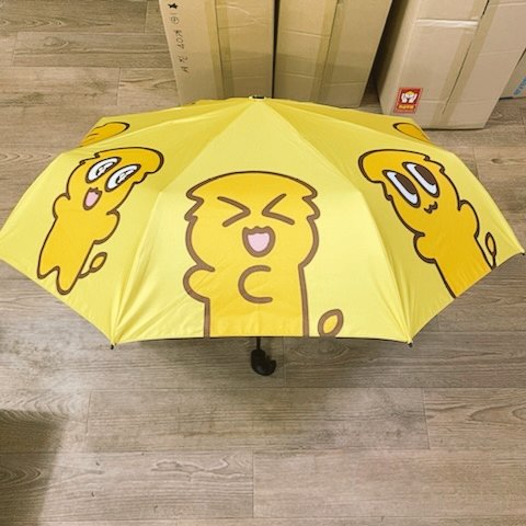 사자솜 tweet media