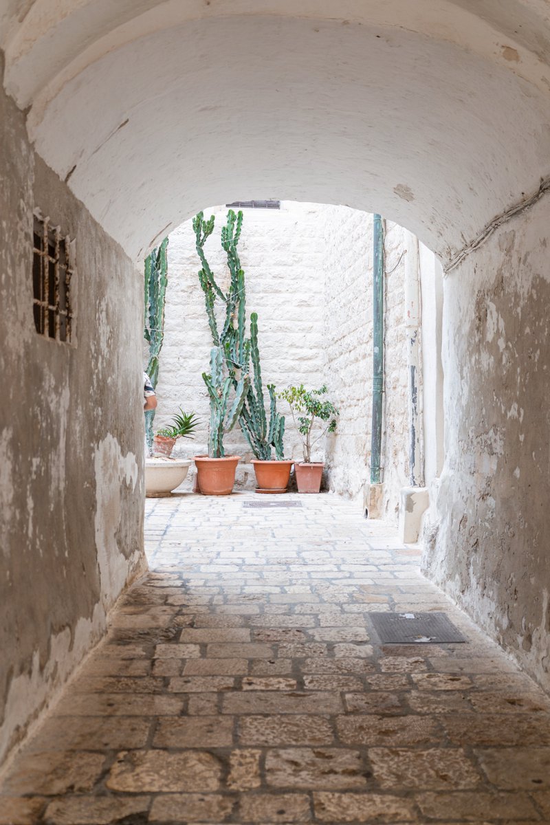 PugliaTips's tweet photo. Polignano a Mare #Puglia #pugliatips https://t.co/fXm0K9MGkA
