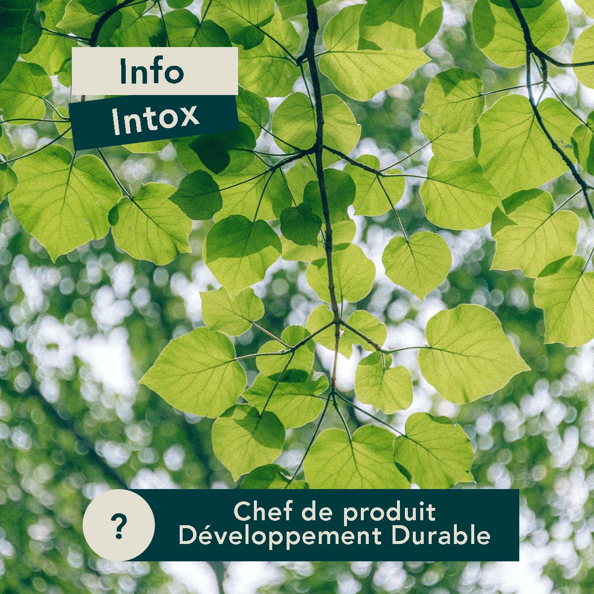 GreenMSchool's tweet photo. Vous vous questionnez sur la mission du Chef de Produit Développement Durable ?
En voici une définition. 😉🌱
#ecologie #chefdeproduit #developpementdurable #environnement https://t.co/bA2xPkFBi2
