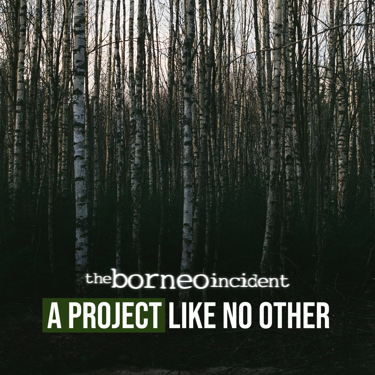 TBI_NFT's tweet photo. The Borneo Incident is different. 
It is a manifestation of a dream that started to take form 10 years ago. 

It is a story of pain, sorrow, and losses. 
Both in real like and reel. 
But now, it is taken a new form in the blockchain. 

Join the NFT movie. 

#TheBorneoIncident https://t.co/Lhf6cmts5r