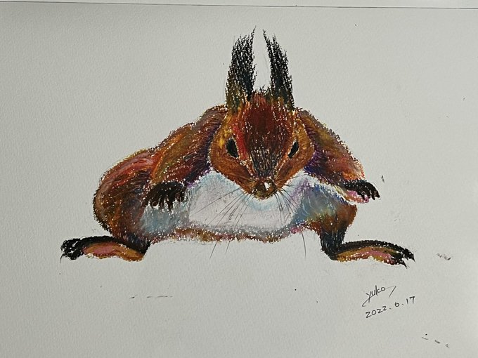 エゾリスのtwitterイラスト検索結果 古い順