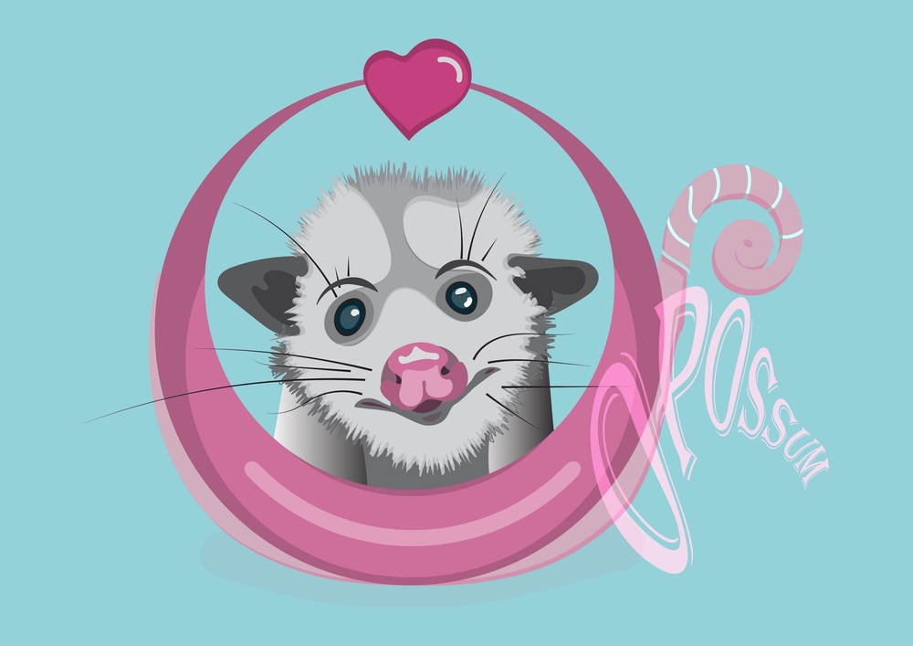 Opossumsaucecom's tweet photo. Hello! We are https://t.co/KWtWf8QA0X! https://t.co/hU66WmQNQb