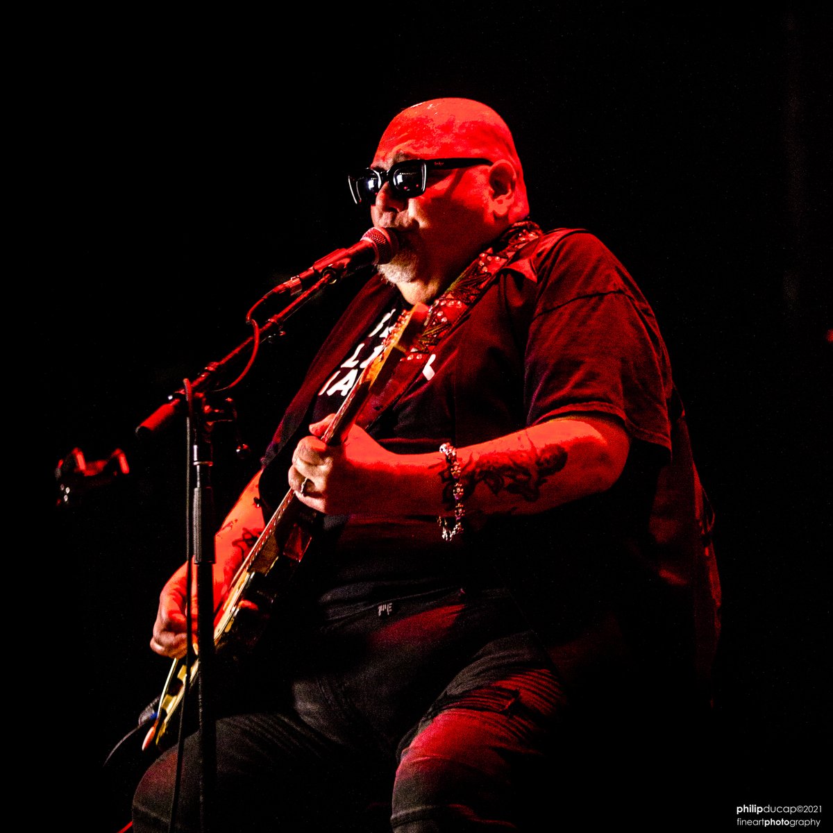 Dixiefrog Records tweet media