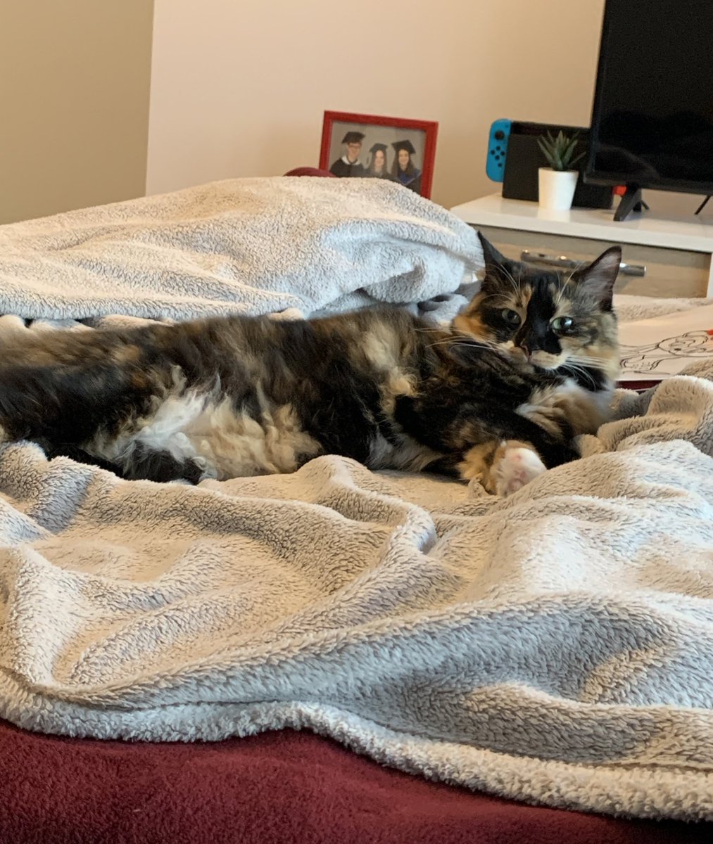 antOllne's tweet photo. I miss her so much… https://t.co/6F1vU1LxWa
