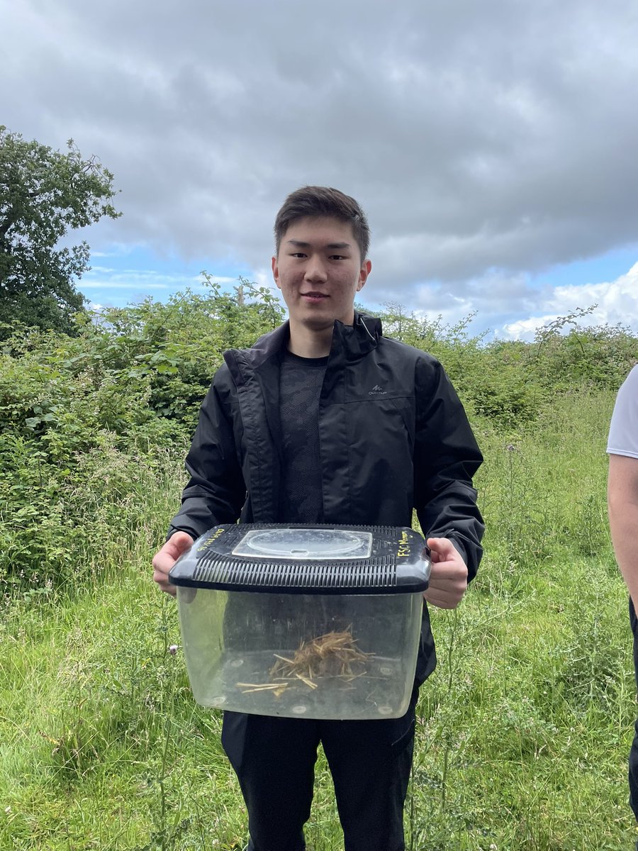 BromsBiology's tweet photo. Checking our Longworth traps the morning for Small mammals - one Wood-mouse… https://t.co/NHgMCG3ymc