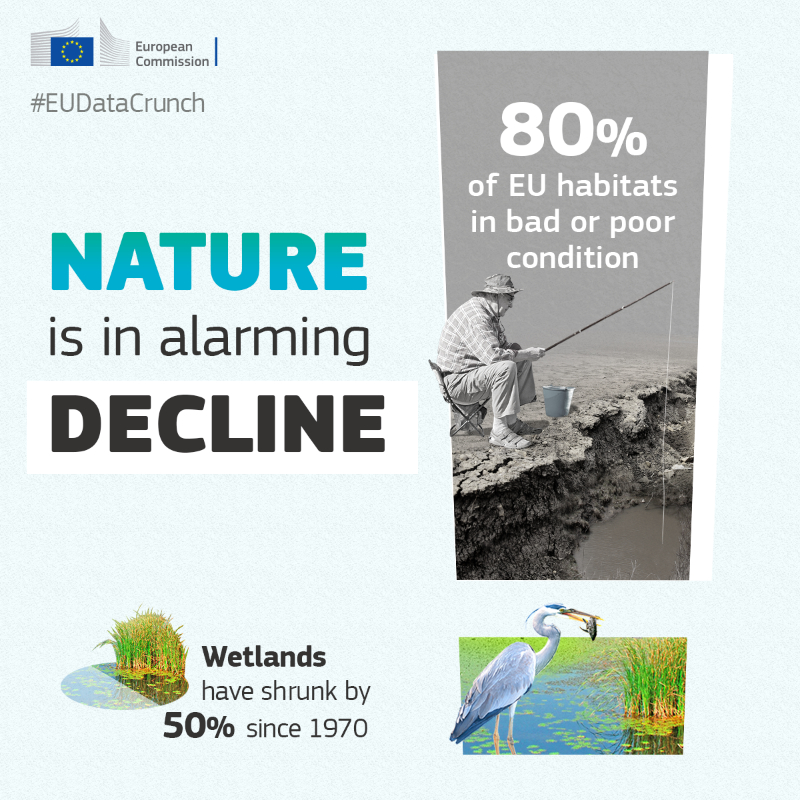 EU_ENV's tweet photo. Europe’s nature is in alarming decline, with more than 80% of habitats in poor condition

1️⃣ week ago, we presented the first-ever #NatureRestoration Law, calling for binding targets to help degraded ecosystems thrive again 🌱

👇 This is our plan to #RestoreNature across 🇪🇺