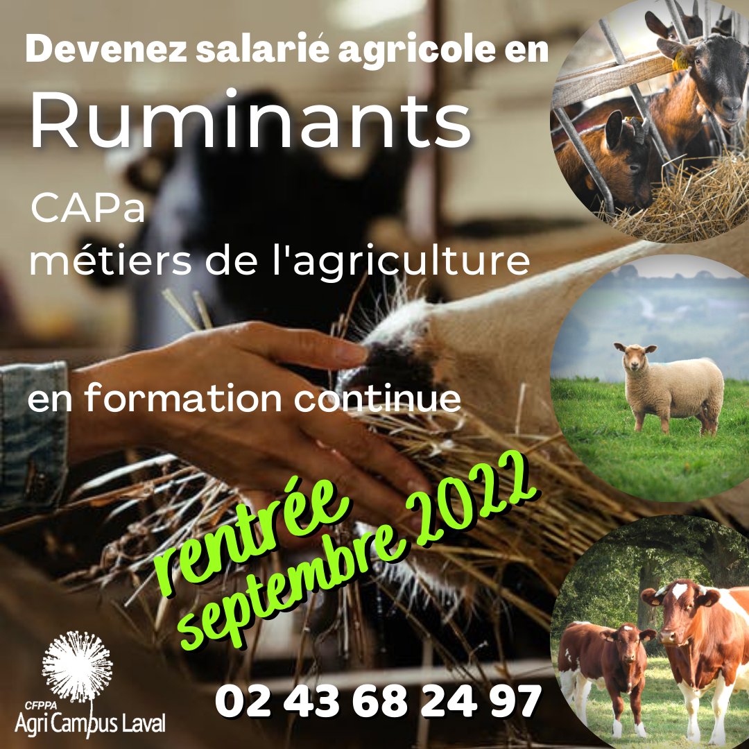 #Capa métiers de l'#agriculture option #ruminants <a href="/CfppaLaval/">CFPPA AgriCampus Laval</a>