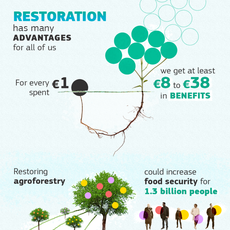 EU_ENV's tweet photo. Europe’s nature is in alarming decline, with more than 80% of habitats in poor condition

1️⃣ week ago, we presented the first-ever #NatureRestoration Law, calling for binding targets to help degraded ecosystems thrive again 🌱

👇 This is our plan to #RestoreNature across 🇪🇺