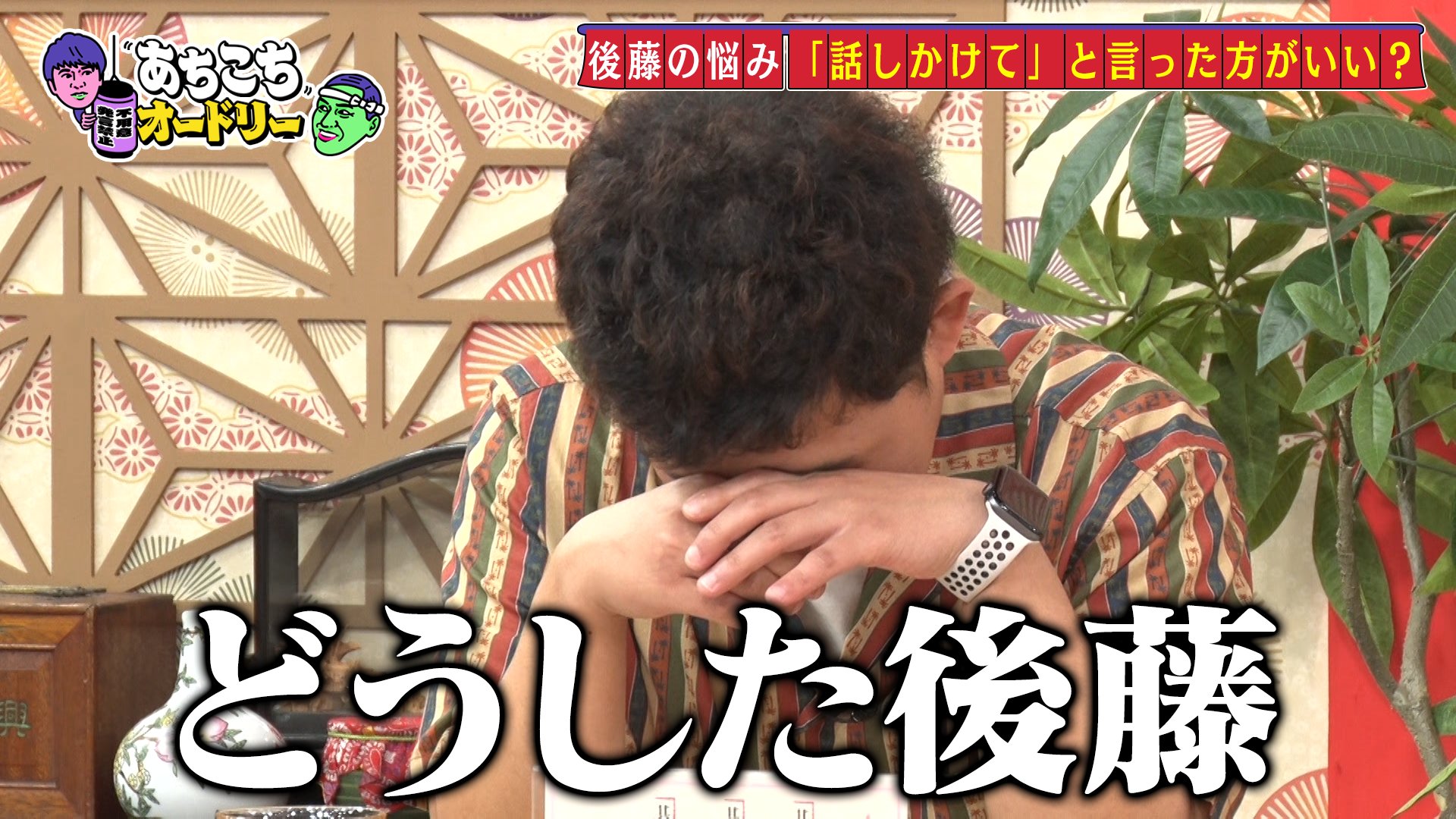 あちこちオードリー　若林初回OAセット　2個セット あちこちオードリー 若林初回OAセット 2個セット あちこち