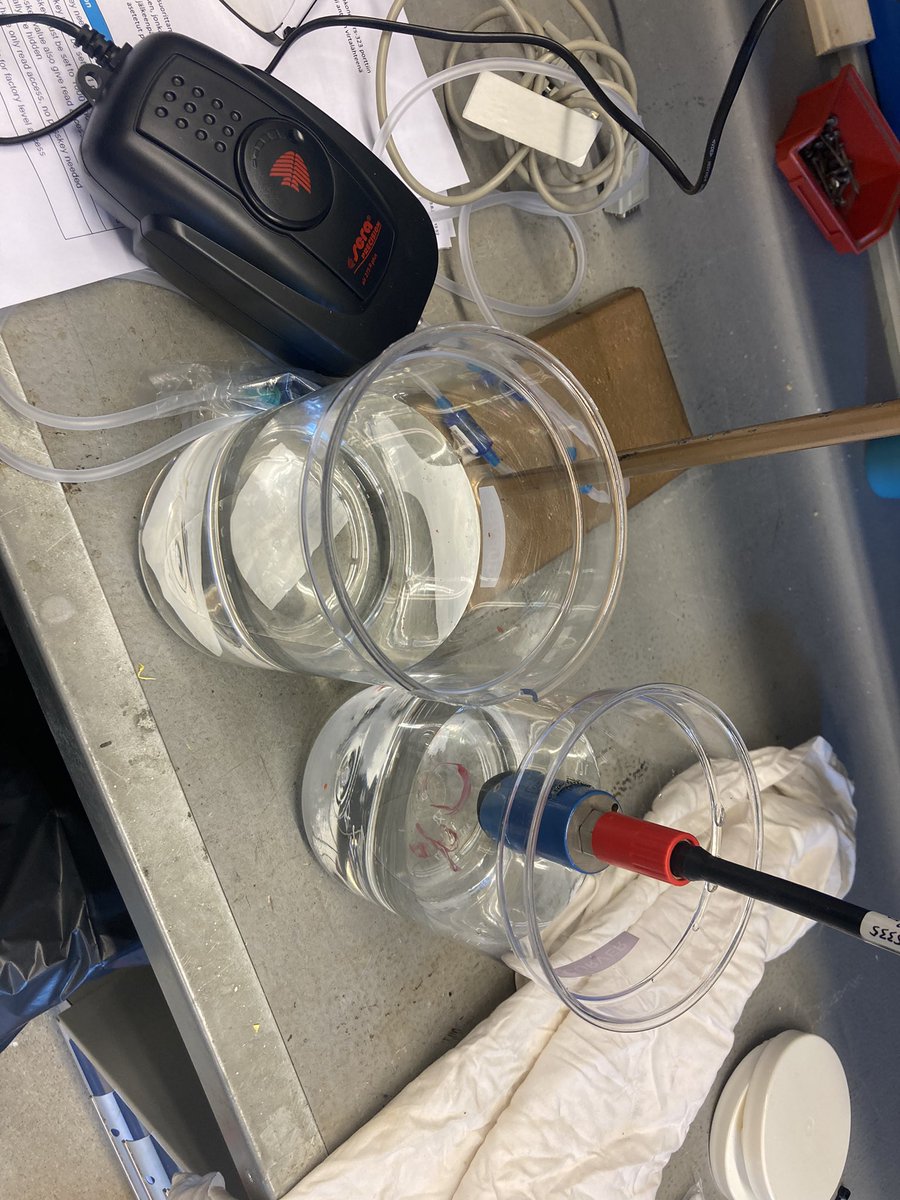K_tikka's tweet photo. First time testing the oxygen optode two-point calibration routine https://t.co/62ja5wa3zo @FMI_Marine @SimoSiiria #Uivelo #oxygen_optode https://t.co/aeMKavmlgr