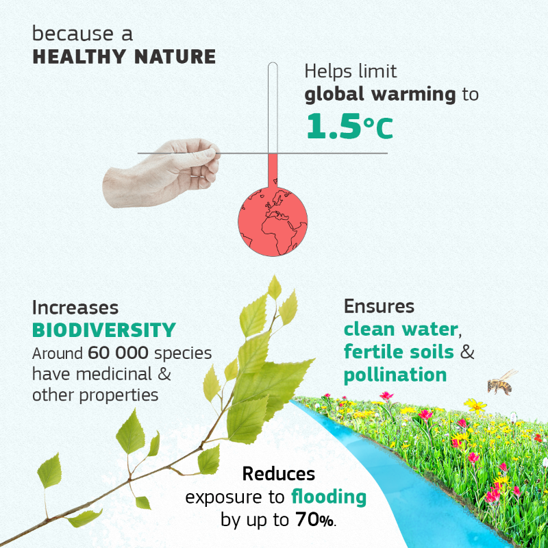 EU_ENV's tweet photo. Europe’s nature is in alarming decline, with more than 80% of habitats in poor condition

1️⃣ week ago, we presented the first-ever #NatureRestoration Law, calling for binding targets to help degraded ecosystems thrive again 🌱

👇 This is our plan to #RestoreNature across 🇪🇺
