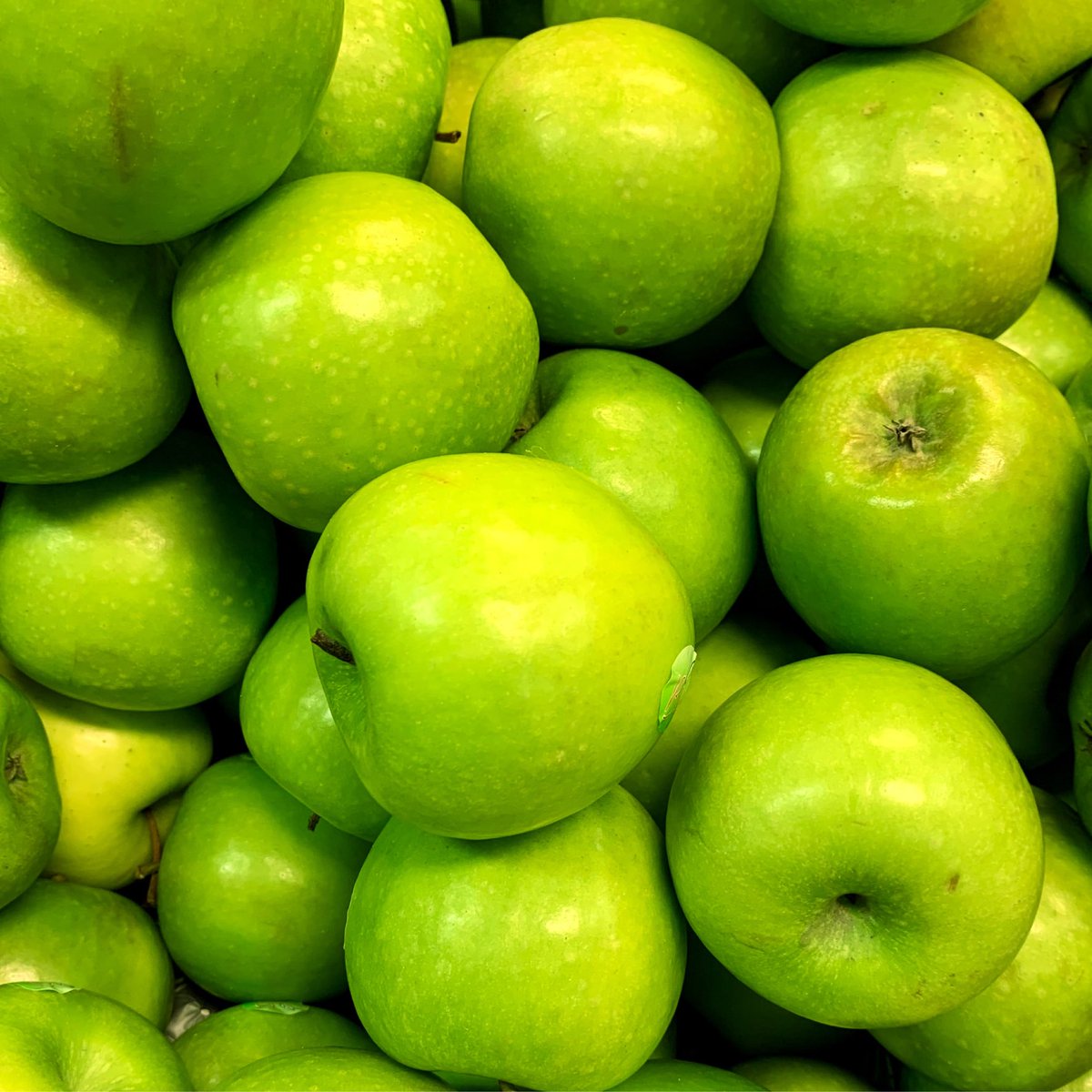 piporganic's tweet photo. Can you guess how many apples ๐ we put into our Cloudy Apple Juice 1L cartons (without looking at the pack!)?
#fromfarmtofamily #cloudyapple #organic #juice #newproduct @waitrose https://t.co/QBuyxl4pbn