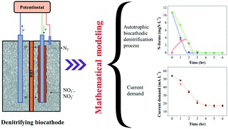 Recent HOT article in #ESWRT: 'Integrated experimental and modeling evaluation of removal efficiency and energy consumption for an autotrophic denitrifying biocathode' by Daniele Cecconet et al. ➡ bit.ly/3ORrzZ0
