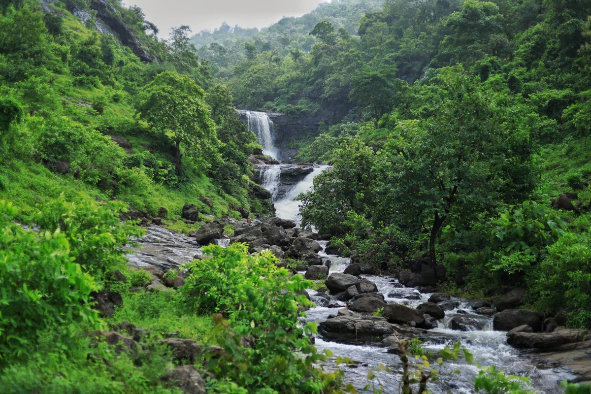 collectorvalsad's tweet photo. Ganesh waterfall is a beautiful waterfall of Mankadban village in Dharampur taluka of Valsad district. It is a scenic location near Wilson Hill Station in Dharampur.  @CMOGuj @pkumarias @GujaratTourism @hareets @AlokPandey_IAS @InfoValsadGoG 
https://t.co/kwcNSYN1il https://t.co/ePAQ7lLD0V