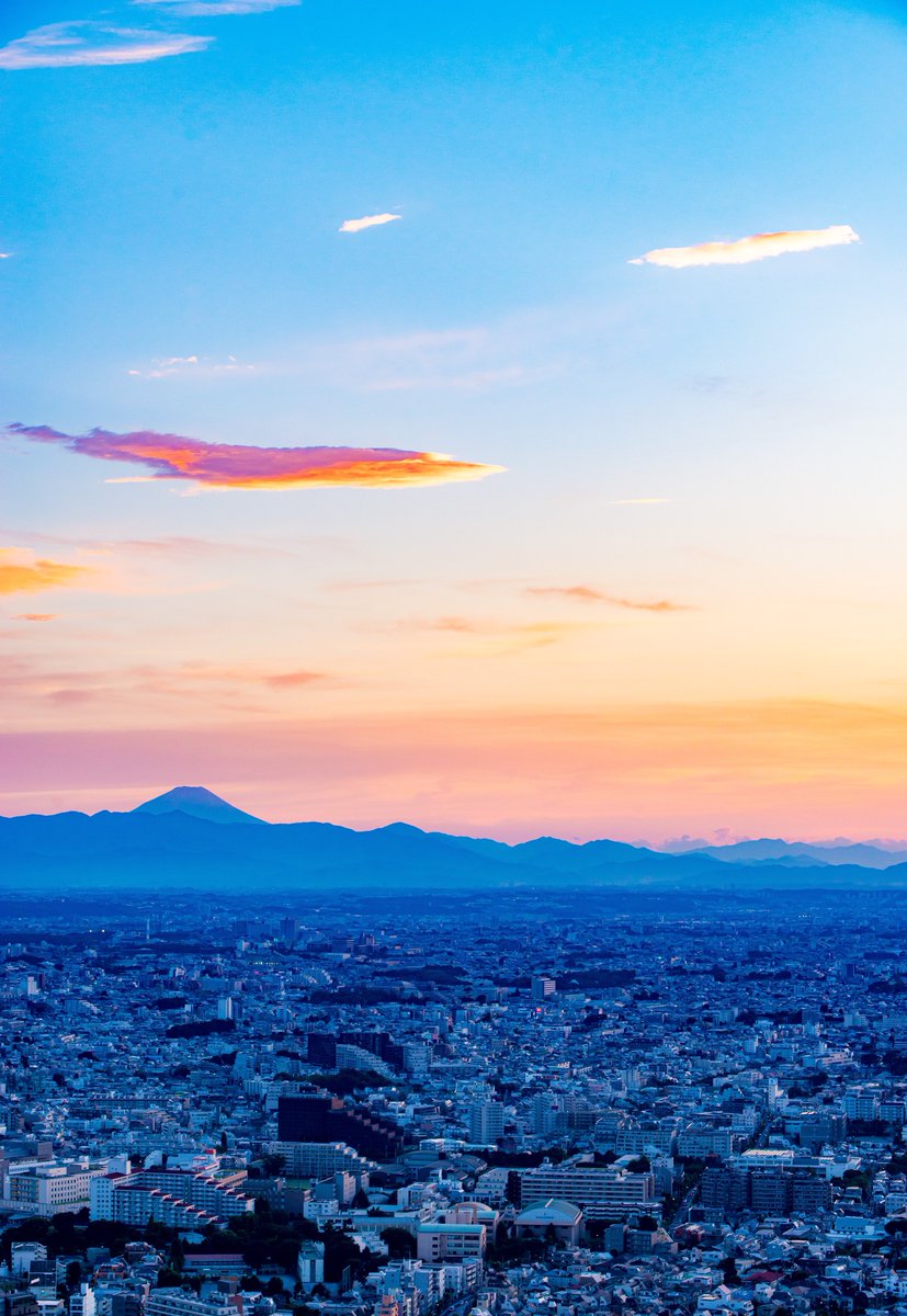haskap1017's tweet photo. 夕焼け空を泳ぐ https://t.co/j9CuthNTRq