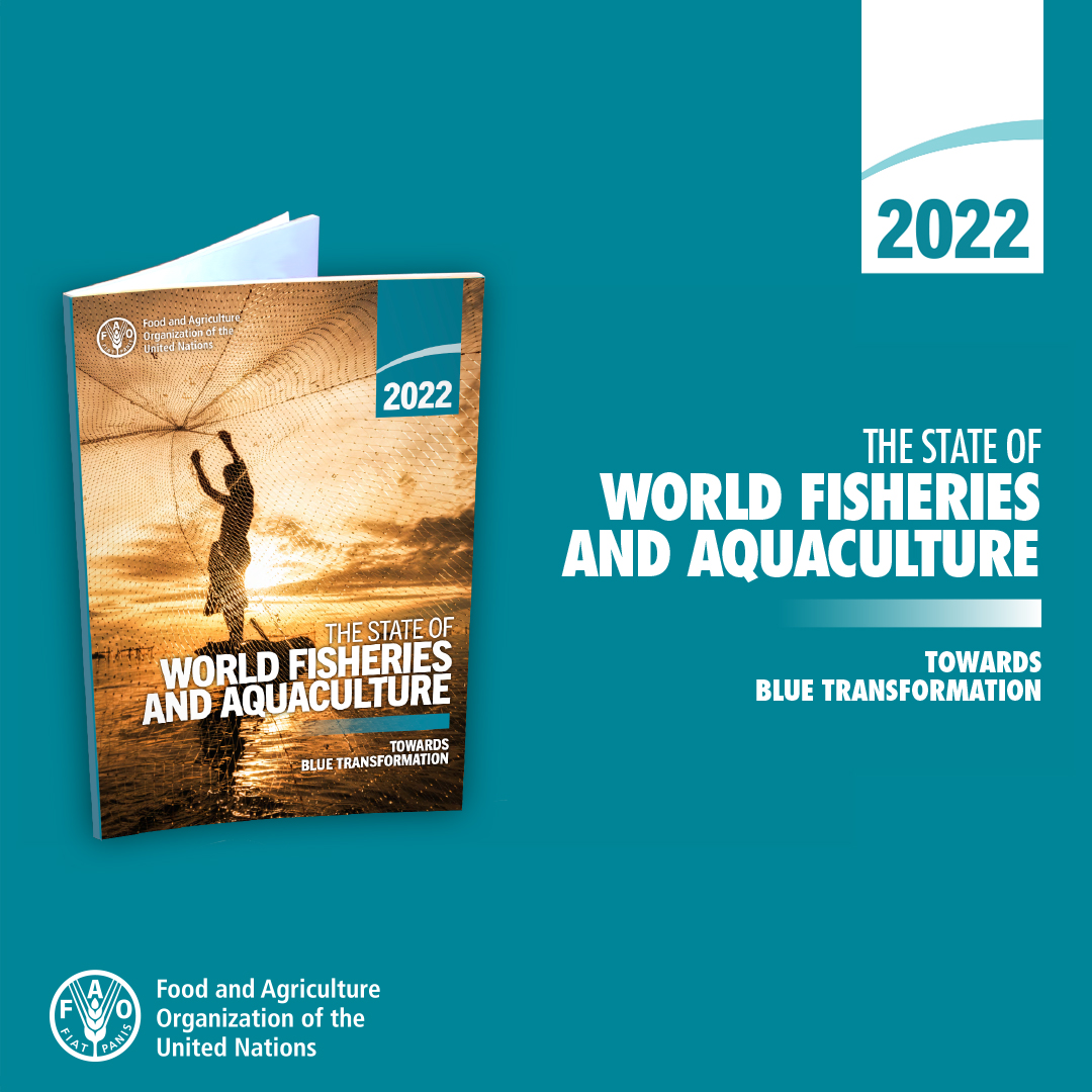 FAO Knowledge (@faoknowledge) on Twitter photo Sustainable aquatic food systems are systems that are able to nourish our growing population while protecting the environment.
Achieving this vision is possible, & necessary.
Here's how we can make it happen: bit.ly/3nnCoqj
#SOFIA2022 #BlueTransformation Sustainable aquatic food systems are systems that are able to nourish our growing population while protecting the environment.
Achieving this vision is possible, & necessary.
Here's how we can make it happen: bit.ly/3nnCoqj
#SOFIA2022 #BlueTransformation
