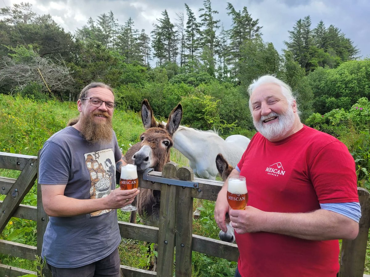 FidelityDublin's tweet photo. A Fidelity debut, we are delighted to welcome @mescanbrewery to the lineup. You'll catch any of the team here supping on their beer on a day off, we love their brews. They're doing great work making traditional Belgian style beers so make sure to stop by these lads on the day! https://t.co/6TawjTtNfe