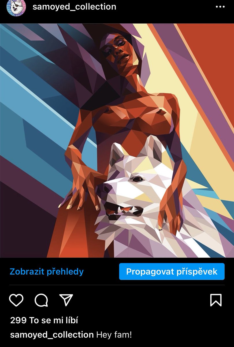 Samoyed Collection tweet media