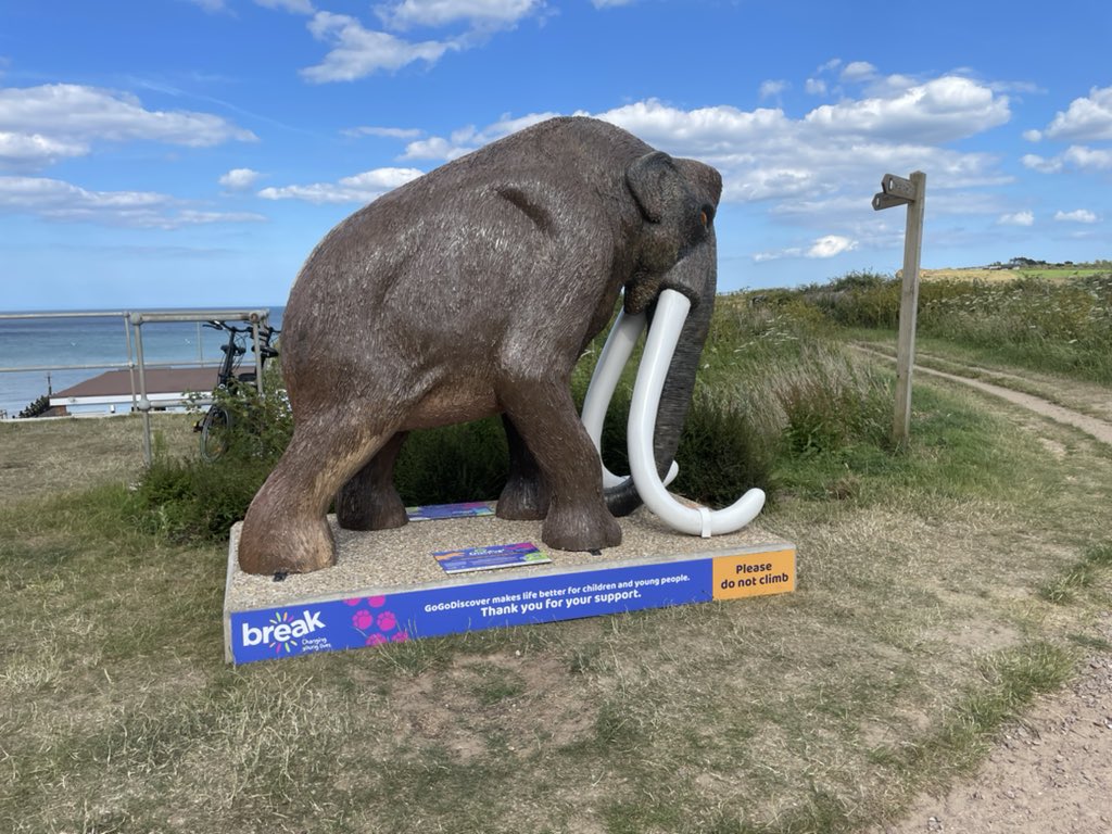 Phoebe, Selene and Mr Binx tweet media