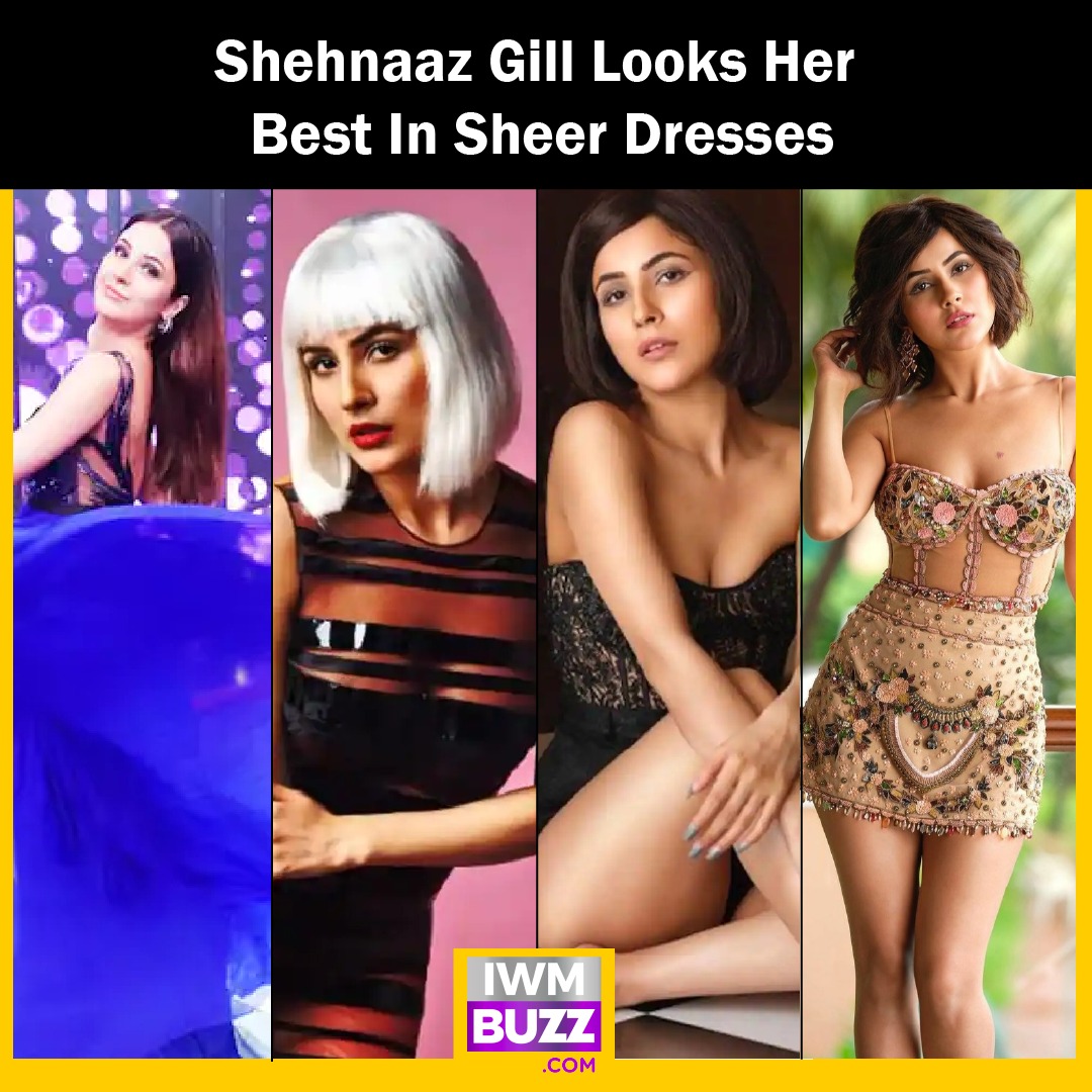 iwmbuzz's tweet photo. Here are some sheer dresses looks of Shehnaaz Gill

#ShehnaazGill #sheerdresses #amazinglooks #gorgeousdiva https://t.co/IEVL1UzuWE