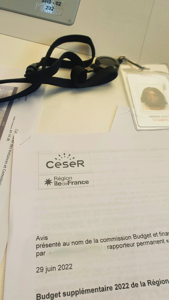 ElisabethAbanda's tweet photo. Aujourd'hui c'est séance plénière du @ceseridf ! Budget, transports, accueil des réfugié.e.s d'Ukraine... Beaucoup de sujets à discuter !
Cc @UNEF https://t.co/Q3clzlLpZ8