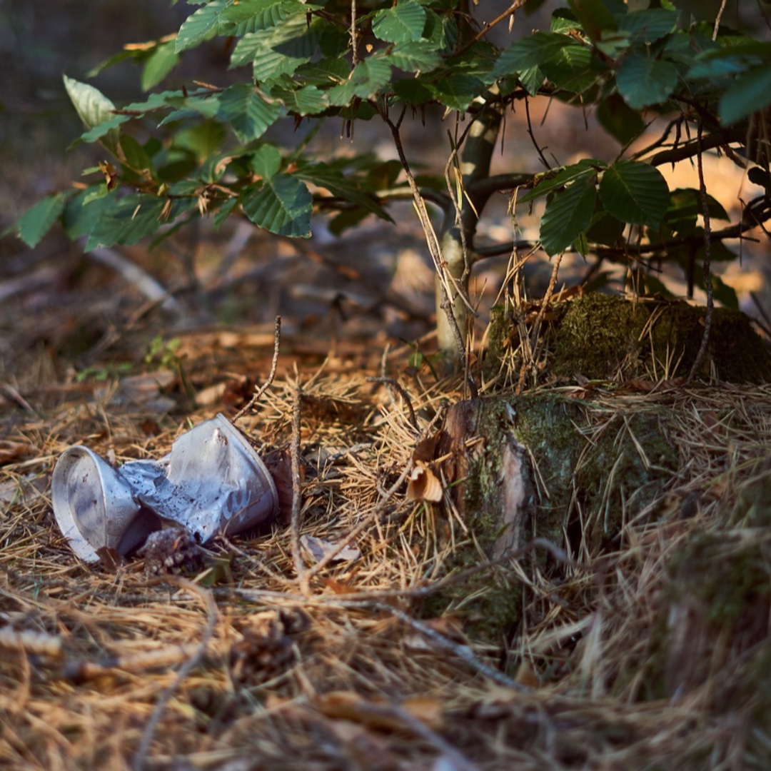 seed_ball's tweet photo. Just one day to go! We are busy writing our #naturelist for tomorrow and have decided a great #randomactofwildness is to go on a local litter pick. #30DaysWild https://t.co/AEE3Lv9PyQ
