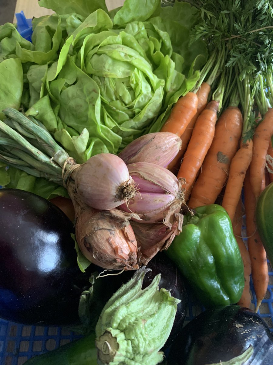 AudePocchiola's tweet image. J’❤️les légumes de saison. J’❤️mon producteur #ventedirecte #venteàlaferme @dams7174