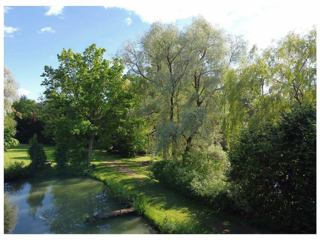 IgnRy's tweet photo. #pond and #trees #shadow #timetorelax #park #myLithuania https://t.co/Pgjvw7tJU1 https://t.co/wbYdCr2jk3