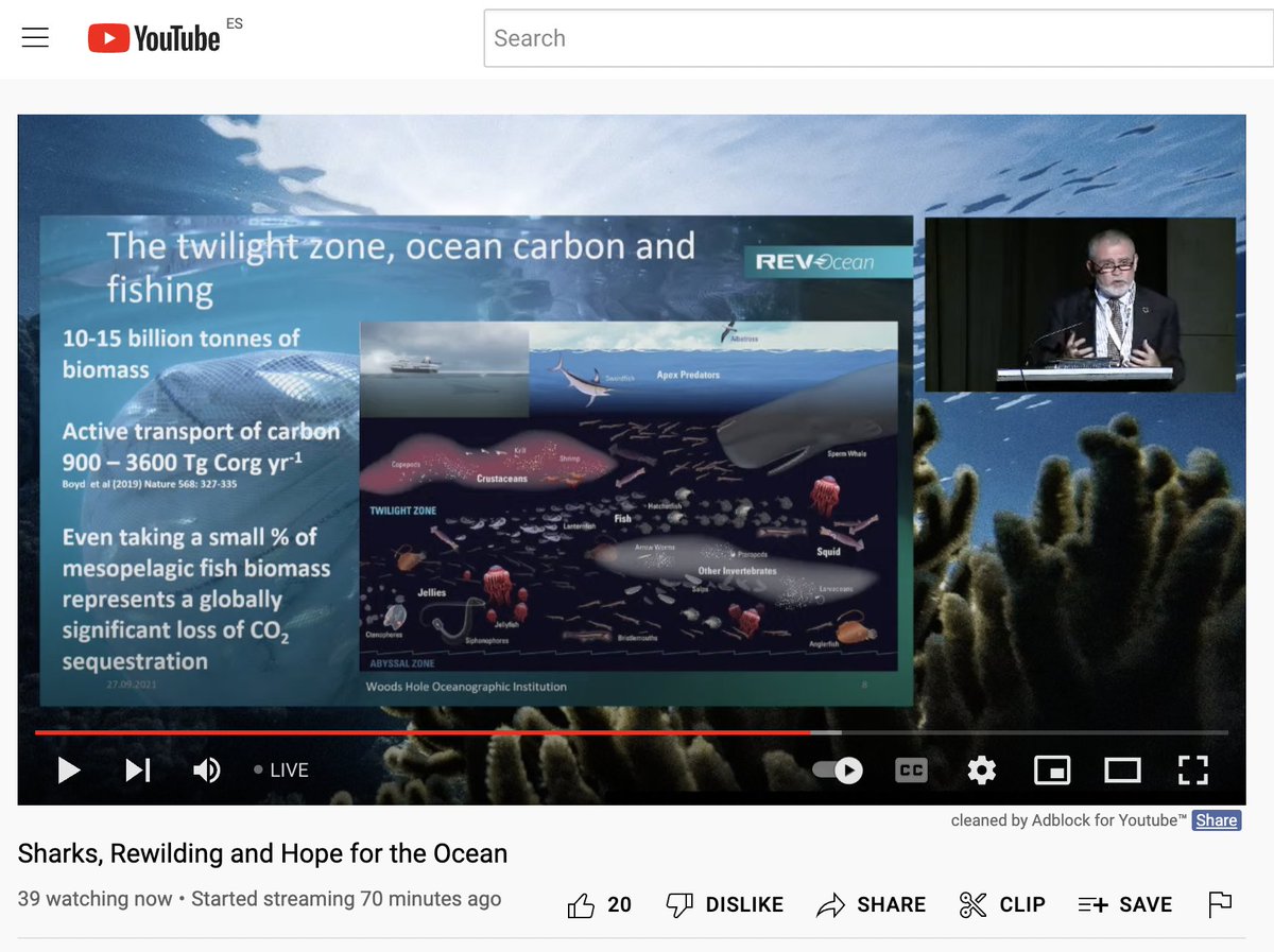 REV Ocean (@rev_ocean) on Twitter photo 🦑 Great presentation today by <a href="/AlexDavidRogers/">Alex David Rogers</a> highlighting the importance of exploring and protecting the deep ocean. Alex shows some amazing video footage from his expeditions to seamounts, cold water reefs and hydrothermal vents! Check it out here:
🎞youtube.com/watch?v=6bXxqT… 🦑 Great presentation today by <a href="/AlexDavidRogers/">Alex David Rogers</a> highlighting the importance of exploring and protecting the deep ocean. Alex shows some amazing video footage from his expeditions to seamounts, cold water reefs and hydrothermal vents! Check it out here:
🎞youtube.com/watch?v=6bXxqT…