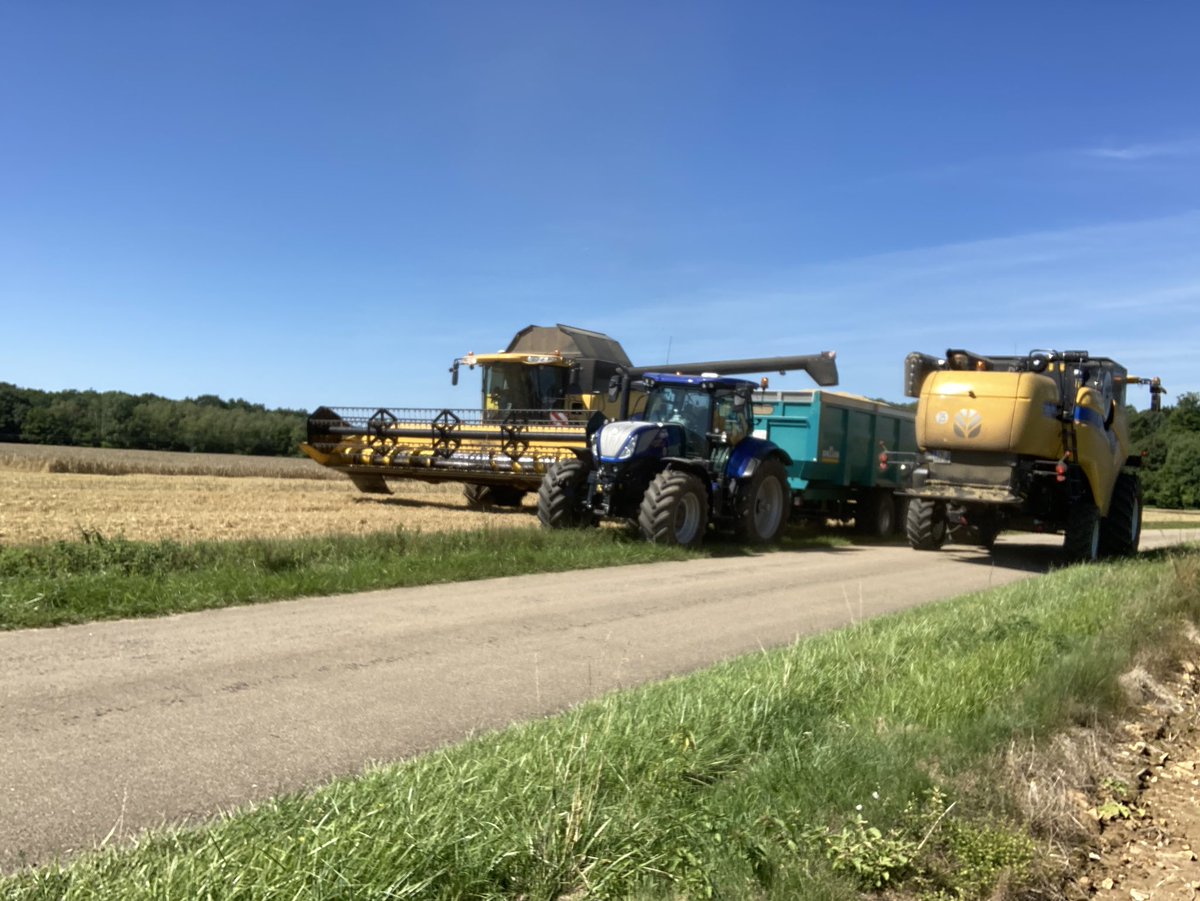BONNIN1402's tweet photo. #Moisson2022 : déjà une benne de #KWSJoyau à 11:15!
Bientôt 2 @NewHollandAgFr au #pk98 #Villechétive @AMimardo @wallygatore07 et après la pluie ce sera ce beau #Ramsès #colza érucique 🤩
Le @TGVINOUI N6612 origine @villedelyon grimpe la forêt 🌳 d’Othe. https://t.co/v8bUO8gL0i