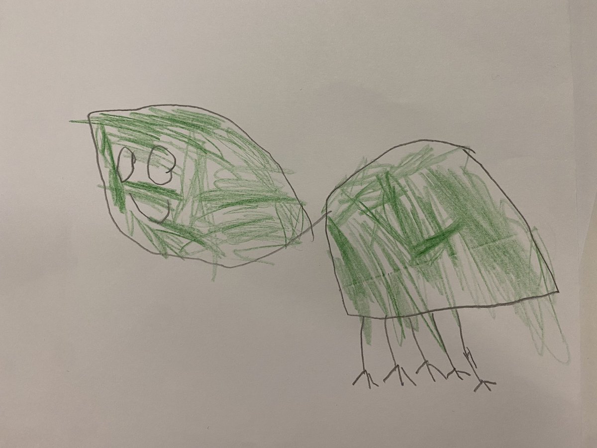 wpsyear1gwyrdd's tweet photo. Year 1 aren’t going to stop drawing Tiny @WhiteRoseMaths until someone wins our favourite tortoise for the classroom! @TinyTortoiseWRM 🐢 @WillowtownPri #Competition #childrensartweek #tinyfans #smallbutmighty https://t.co/arGsvXXZYa