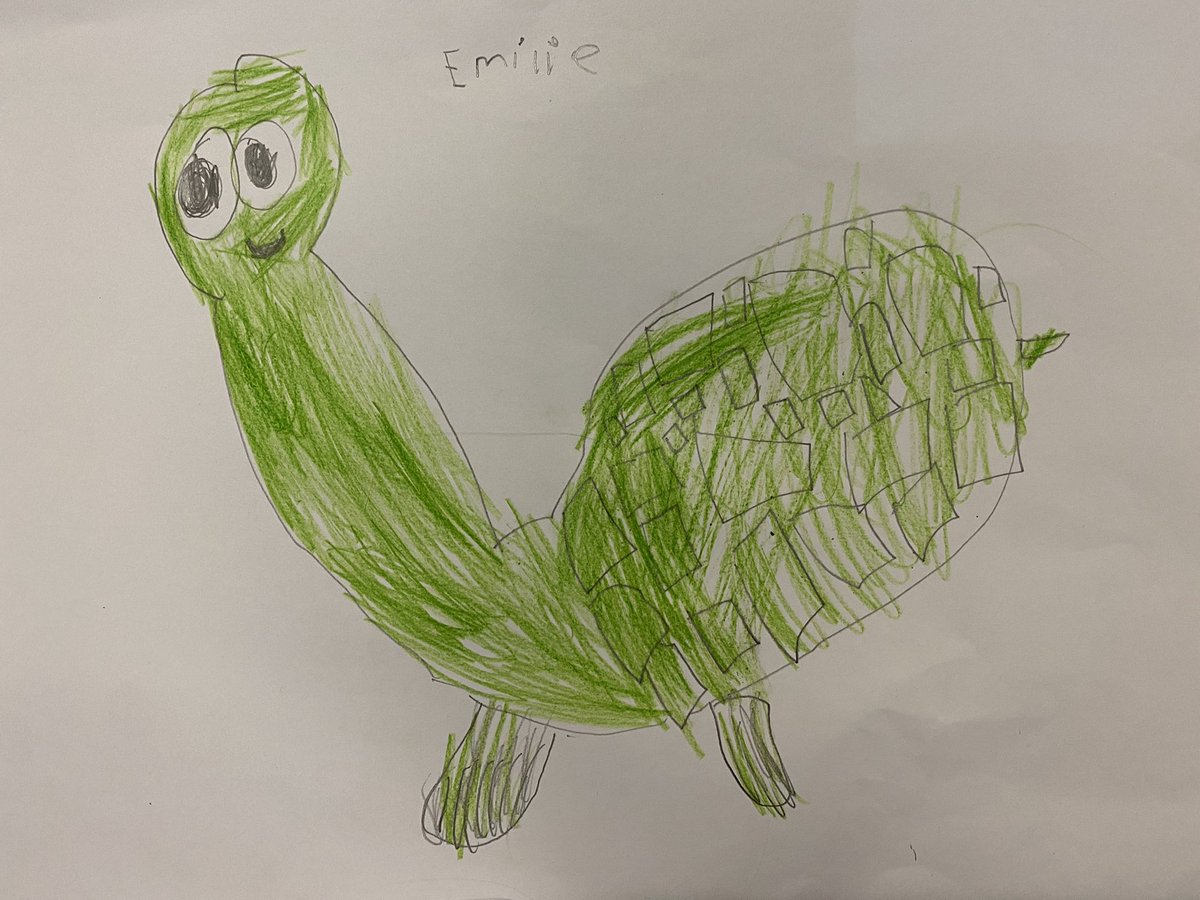 wpsyear1gwyrdd's tweet photo. Year 1 aren’t going to stop drawing Tiny @WhiteRoseMaths until someone wins our favourite tortoise for the classroom! @TinyTortoiseWRM 🐢 @WillowtownPri #Competition #childrensartweek #tinyfans #smallbutmighty https://t.co/arGsvXXZYa