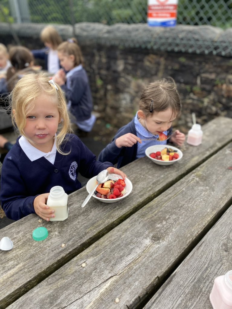 YMynyddygarreg's tweet photo. Salad Ffrwythau ac Ysgytlaeth Mefus (heb siwgr)! ๐๐๐๐ @ysgoliachsirgar #IechydaLles #Tyfu #BwytanIach #GwyddoniaethaThechnoleg https://t.co/kb4xeNtW16