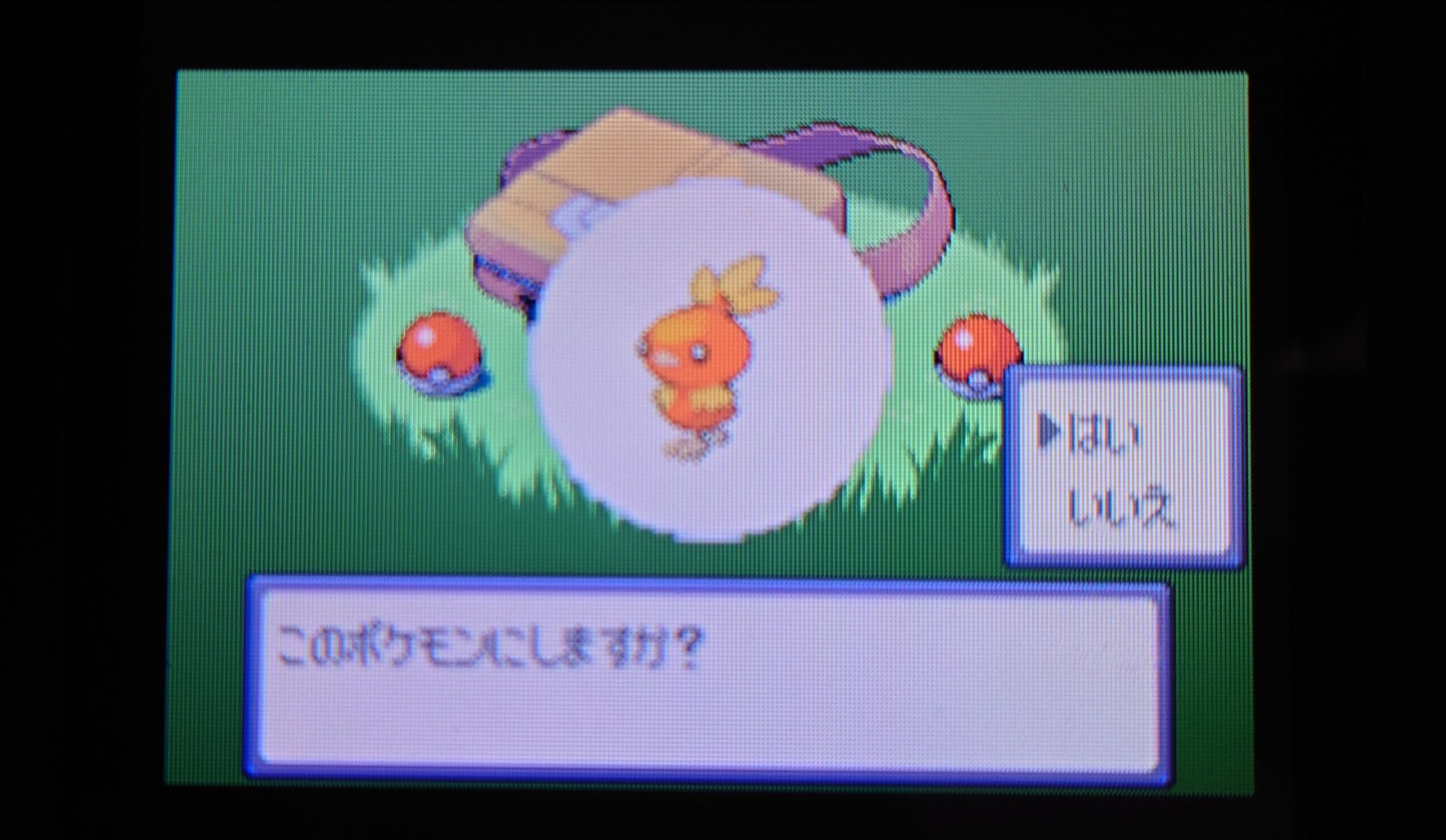 こーてぃ ラティアス54体育成済 Pazcorty Twitter