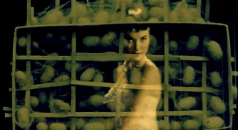 Releasing a new music video for ‘Wild Silk’ at 12pm 🔥